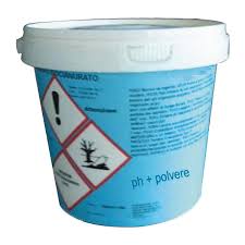PH PLUS POLVERE DA 10KG